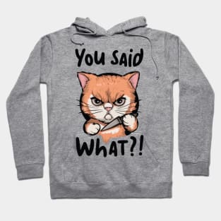 cat with knife you said what Hoodie